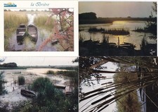 Lot de 4 cartes postales