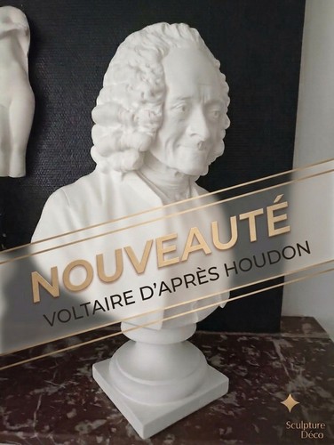 Grand buste voltaire après - voltaire, d'après