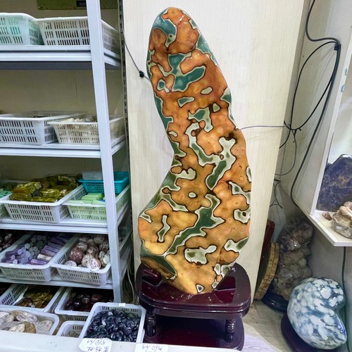 330lb rare natural 59inch - 330lb,