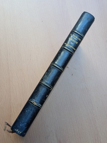 Chasse braconnage georges - braconnage,