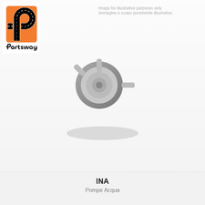 INA Pompe à Eau Module De