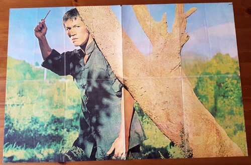 Posters magazine bruce - 1,