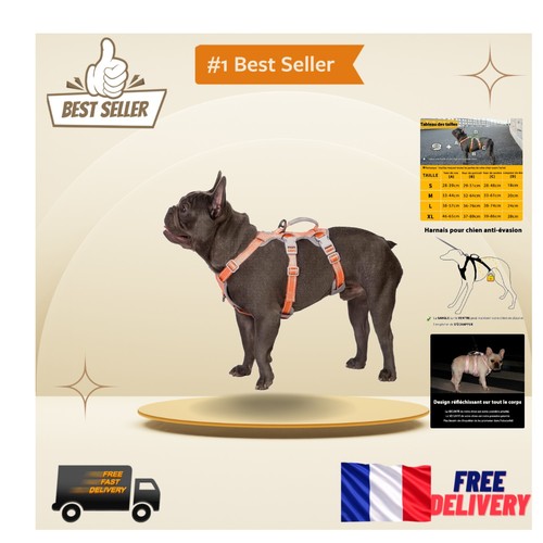 Harnais pour chien - harnais,
