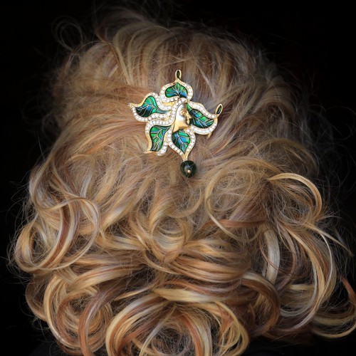 Gros peigne cheveux art - gros,