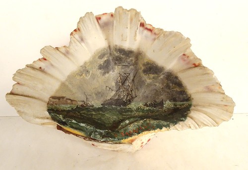 Coquillage nacre peint