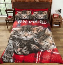 Mignon câlin chat chatons - chat,