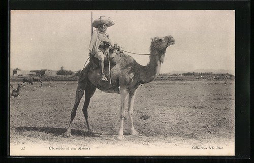 Cpa chambba son mehari - chambba,