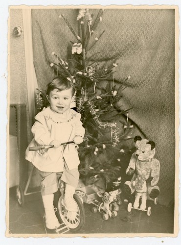 Photo snapshot roland arbre - roland,