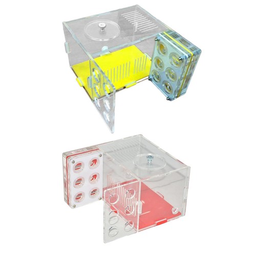 Nid fourmis acrylique - de, en