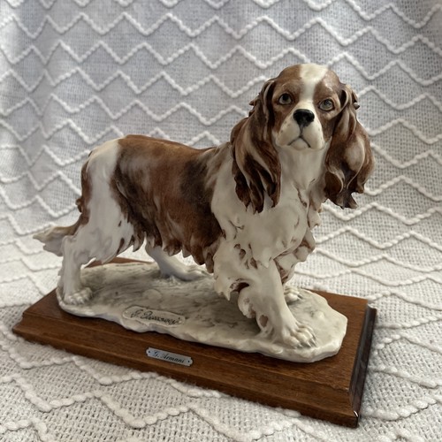 Giuseppe armani cavalier - armani, king