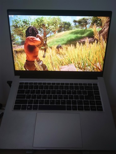 Portable professionnel - pc,