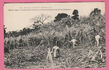 Martinique - Culture de la