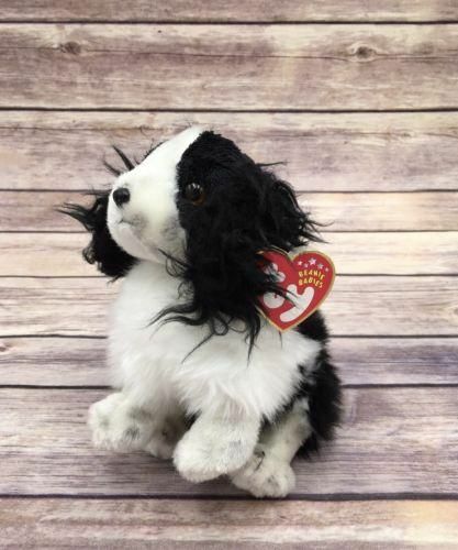 Beanie babies new - beanie,