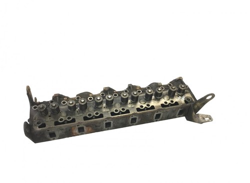 Kerax midlum tp1740861 tête - kerax,
