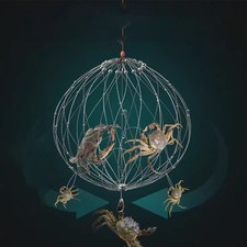 Cage filet de capture efficace