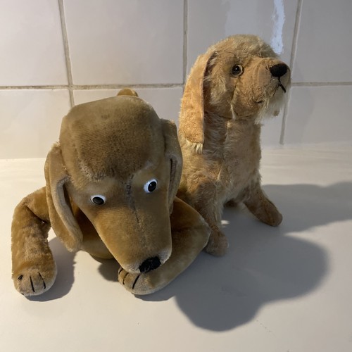 Deux anciens chiens - deux,