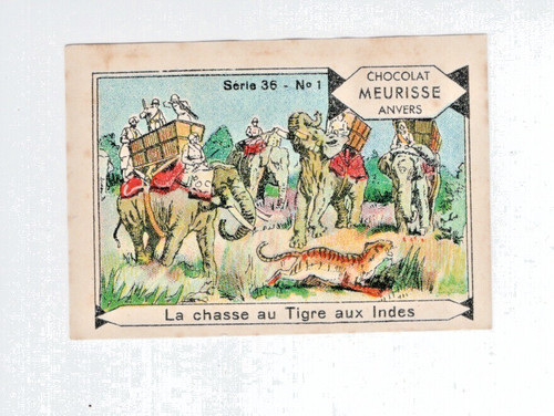 Chromo chasse tigre aux - chromo,