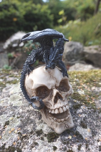 Hf1515 figurine dragon sur - figurine,