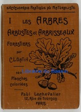 Les arbres, arbustes et arbrisseaux forestiers C. L. Gatin 1913