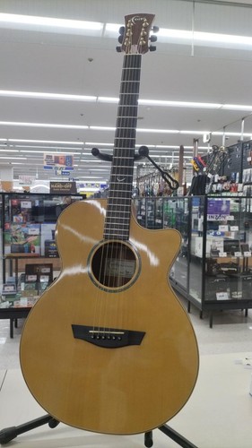 Faith venus acoustic - venus,
