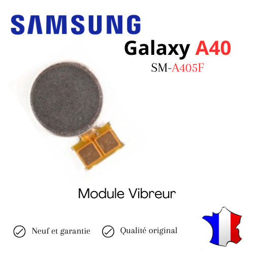 Module vibreur interne pour - module,
