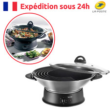 Wok Électrique Puissante Cuve
