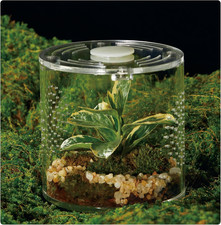 Acrylic Terrarium for Reptiles
