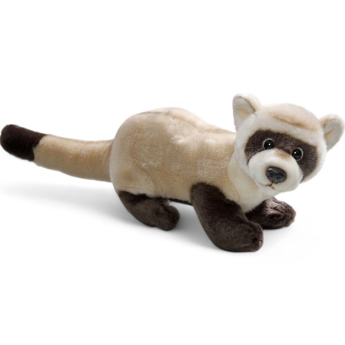 Carl dick furet - carl, furet,
