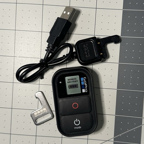 Genuine oem gopro wifi remote - oem,