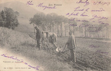 88 VOSGIENS AU LABOUR - ATTELAGE CHARRUE BOEUFS - 82843