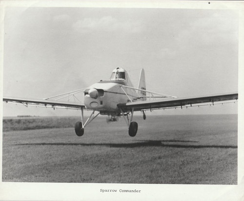 Sparrow commander avion - commander,