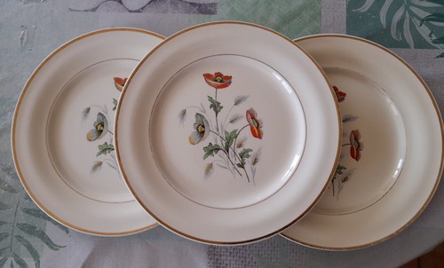 Assiettes céranord - 3,