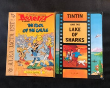 Livre Asterix the idol of the