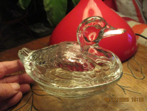 Joli canard verre - en, boite