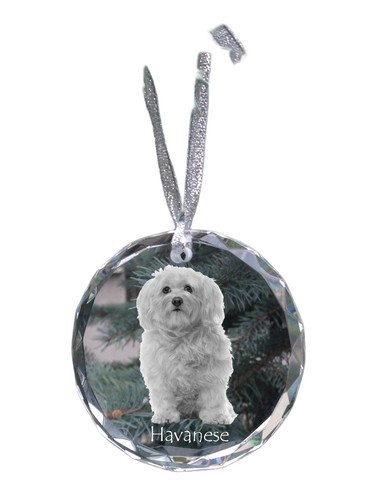 Bichon havanais médaille - , en