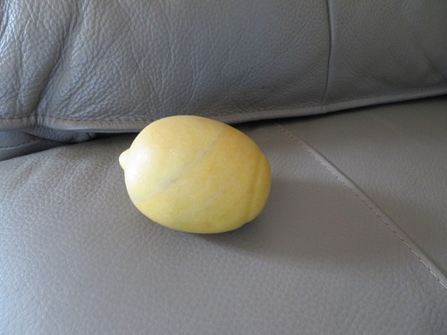 Ancien fruit citron - citron, trompe