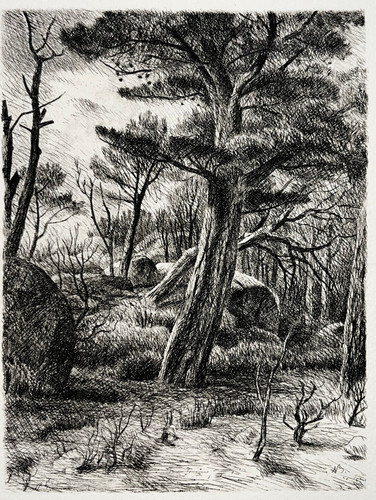Arbre paysage foret adolphe - arbre,