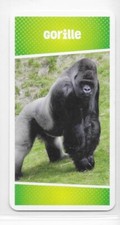 Carte Cartatoto - Gorille