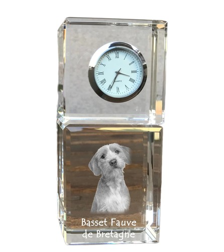 Basset fauve bretagne - basset, de