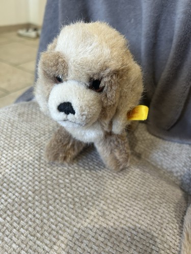 Sympathique chien steiff - sympathique,