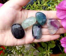 Lot 5 pierre Fluorite 3cm Minéral collection lithothérapie soin naturel fluorine