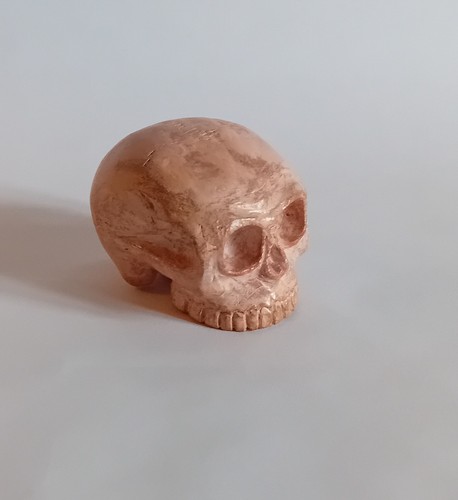 Cabinet curiosite memento - curiosite,