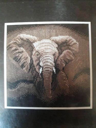 Counted cross stitch kit