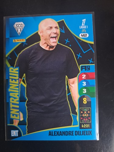 Carte panini adrenalyn - carte,