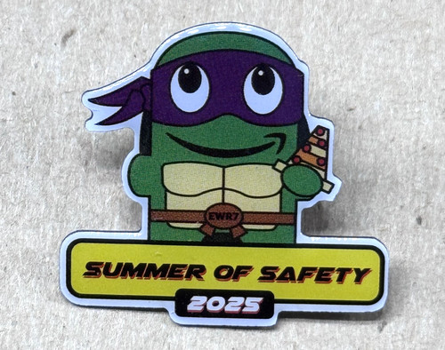 Ninja turtle summer safety - ninja, of