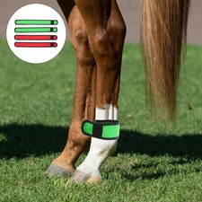  4 Pcs Equitation Cheval