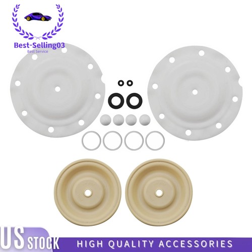 New diaphragm pump repair kit - diaphragm,