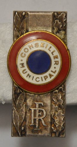 Insigne fonction conseil - insigne,