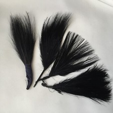 Plumes Anciennes 1900 4