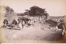 ALGERIE c. 1880 - Caravane de Chameaux près Ville Tirage N.D. Albuminé - AFP 258
